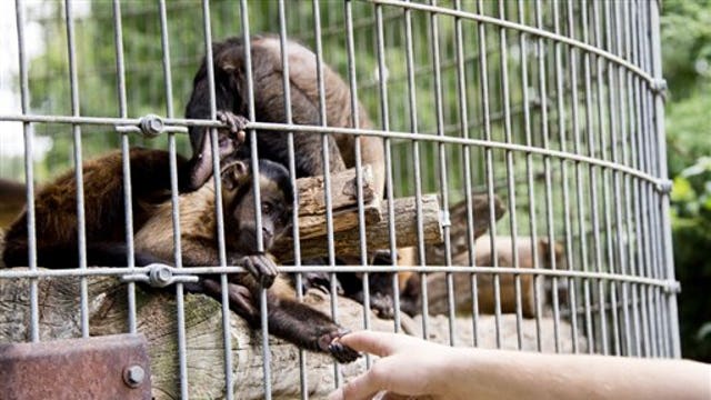 Donate to San Francisco Zoo to name a bug after your ex?