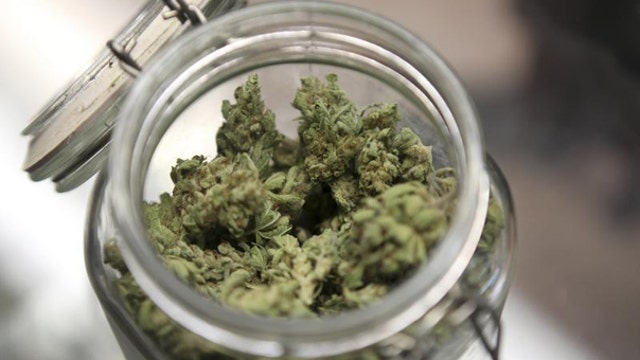 Marijuana 101: Planting seeds for legal pot