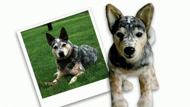 Creating custom stuffed animal clones of your pet