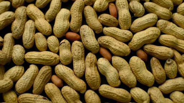 New way to prevent peanut allergies