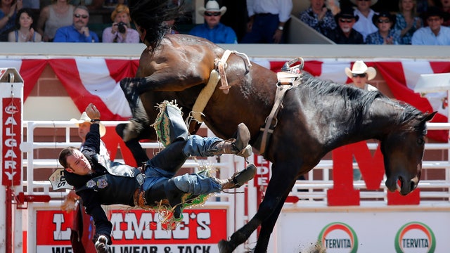 The American Rodeo offers $2M in prize money