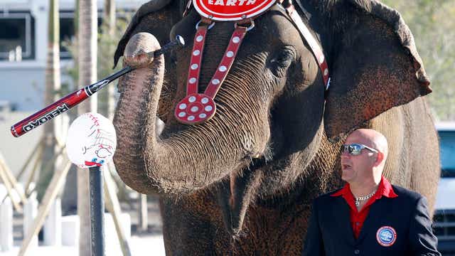 Why is Ringling cutting its elephant act?