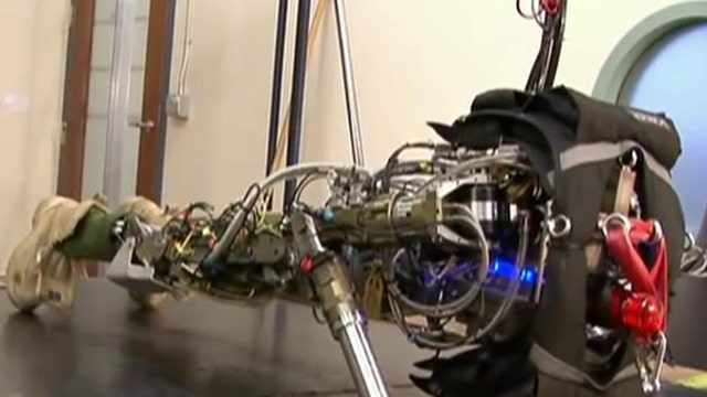 The pushup-doing, stair-climbing, treadmill-running robot 