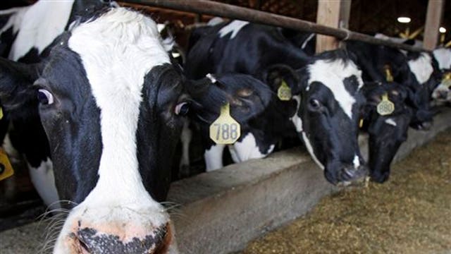 Global use of antibiotics on farm animals on the rise?