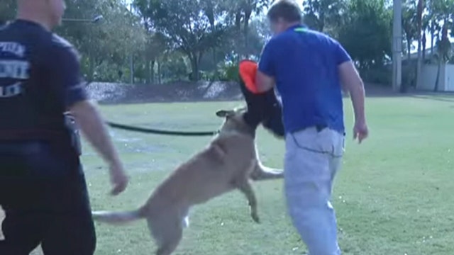 New thriller focuses on police K-9 units