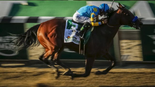 Trainer: You’ll see American Pharoah again