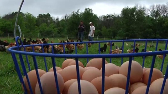 Bird Flu leads to spike in egg prices