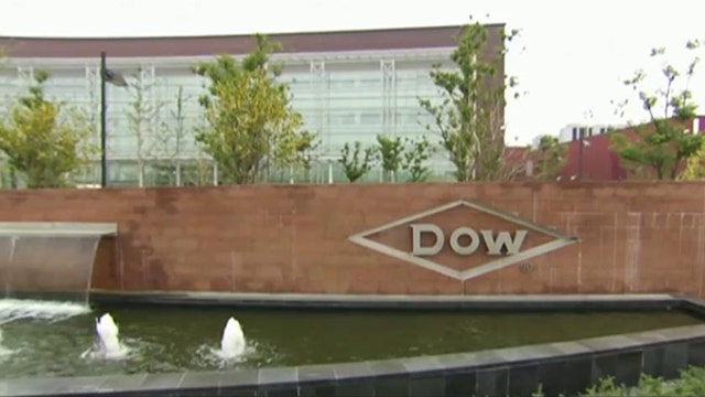 Dow CEO: We can make money under all oil and gas conditions