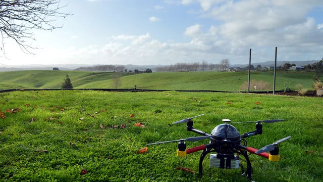 Eye in the sky: Drones helping farmers see green 