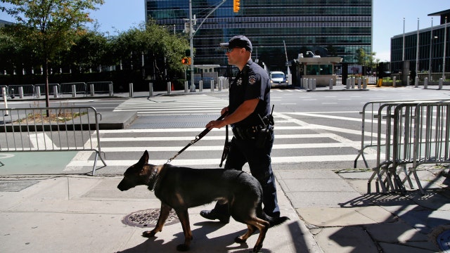 How New York is protecting the Pope