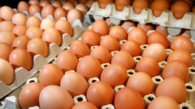 ‘Cage-free’ egg farmer: Can’t keep up with demand