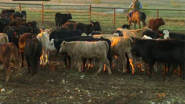 Ranchers look to sell beef to China amid WHO cancer cautions