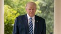 Should Trump agree with the proposed sanctions against Russia?