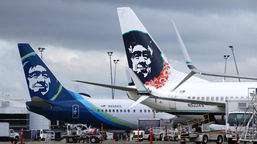 Alaska Airlines 737 jet strikes brown bear during landing