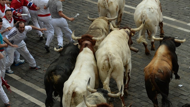 Will the bulls run in 2014?