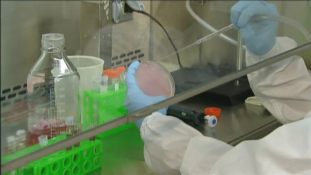 A 3D printed liver by 2015?