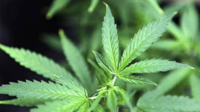 Banks digesting new pot-industry guidelines