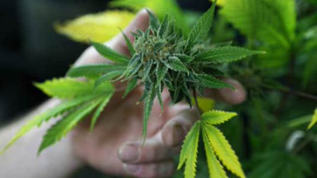 California Gov. Brown down on legalizing marijuana