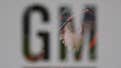 Should Rick Wagoner be called to testify on GM recall?