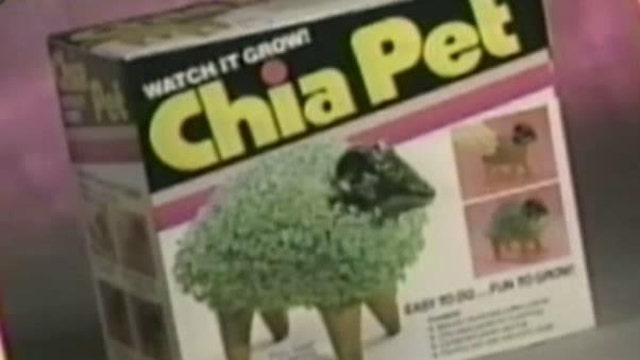 Cha-Cha-Cha Chia, More Than a House Plant