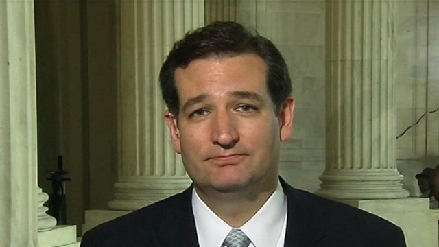 Sen. Cruz: There’s a Lot of Bipartisan Agreement on Immigration