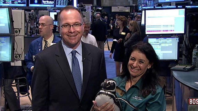 Seaworld CEO on IPO, New Water Park