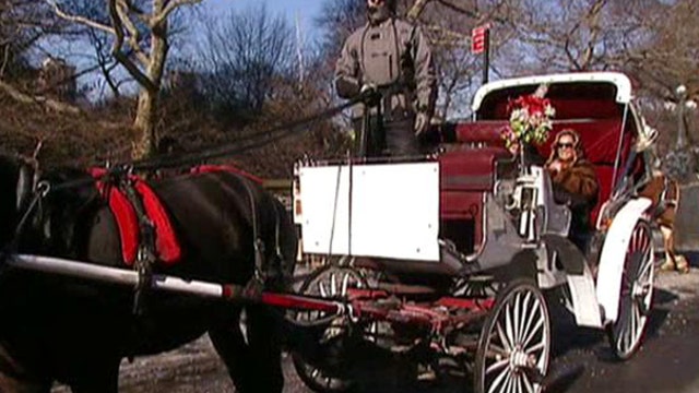 Replacing horse-drawn carriages with electric vehicles?