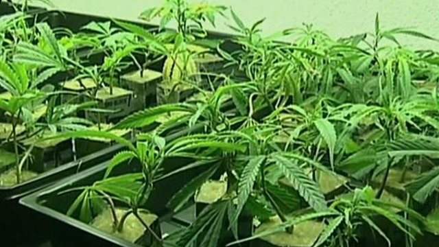 Workers Getting Fired for Legal Pot Use in Colorado?