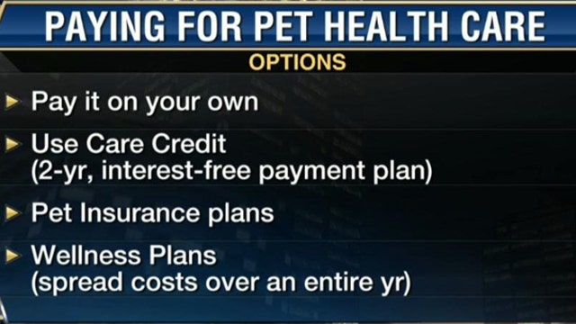 Is Pet Health Insurance a Good Idea?