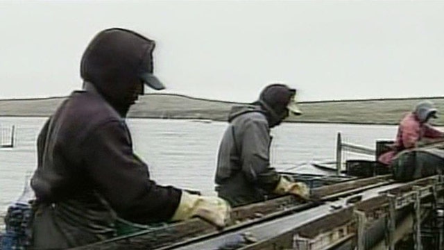 Environmentalists Look to Oust Oyster Farmer