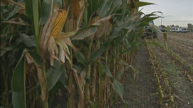 Farmland values on the decline