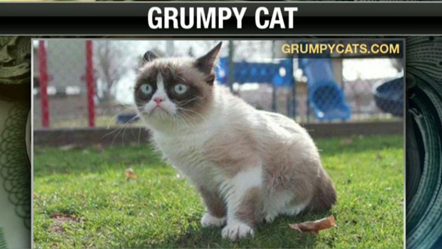 ‘Grumpy Cat’ Goes Hollywood