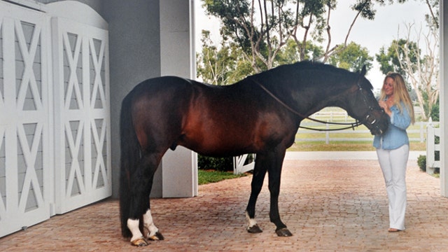 Chesapeake Petroleum’s CEO shares her story of growing up around, and running a company in, a boy’s-club industry, and her passion for equine welfare.