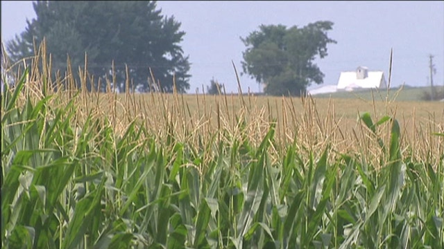 Farm Bill Fails to Pass in House