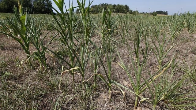 Commodities trader says don’t follow the headlines