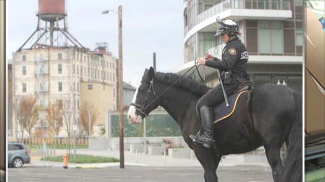 Horse makes arrest