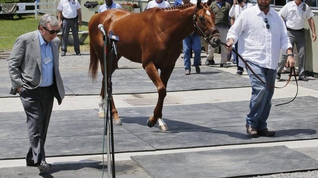 U.S. horse race purse topped $407M ytd