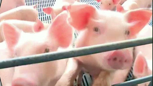 Virus Could Lead to Higher Pork Prices