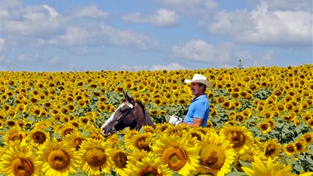 $10B fund for agriculture