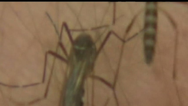 A Malaria Breakthrough?