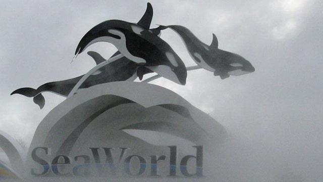 SeaWorld shares too risky?