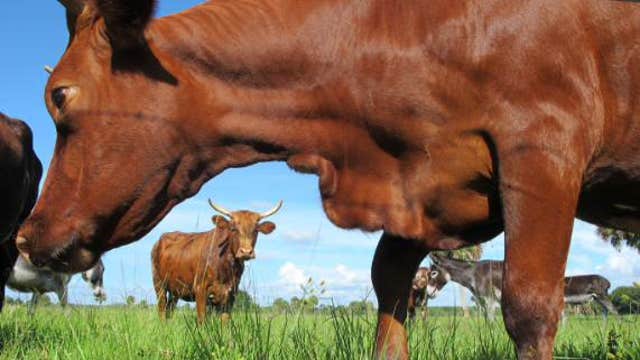Rising demand for beef contributing to climate change?