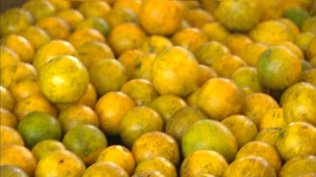 Florida oranges in short supply