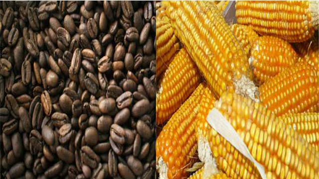 Coffee prices rise, corn falls