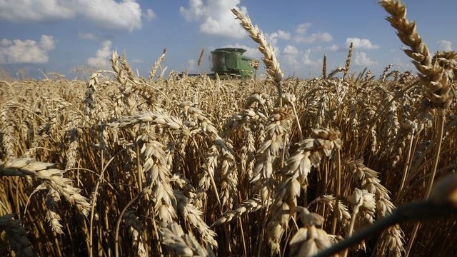 Farmers scramble to find storage for record harvest