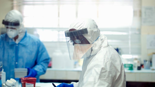 Will Ebola spread to the U.S.?