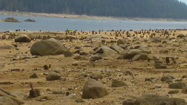 California drought: Fish first over humans?!