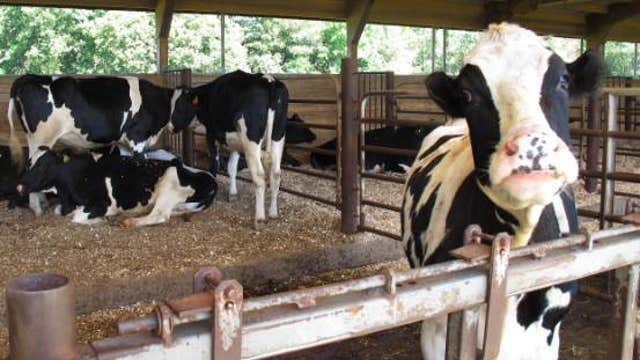 Charles Payne's advice to milk business: hang in there