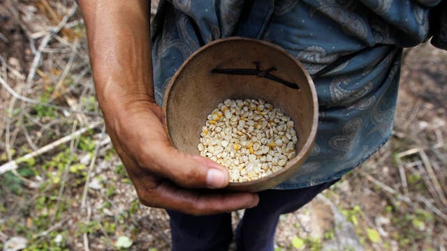 Nation’s grain crop breaking records?