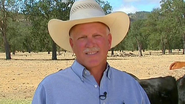 California drought deals harsh blow to ranchers